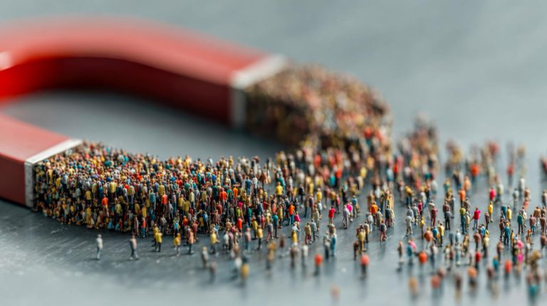 טיפול בלידים