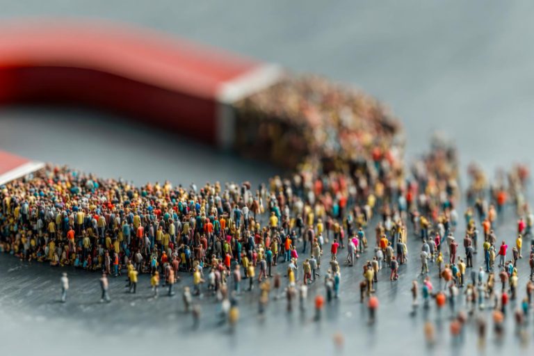 טיפול בלידים