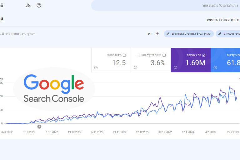 גוגל סרץ קונסול