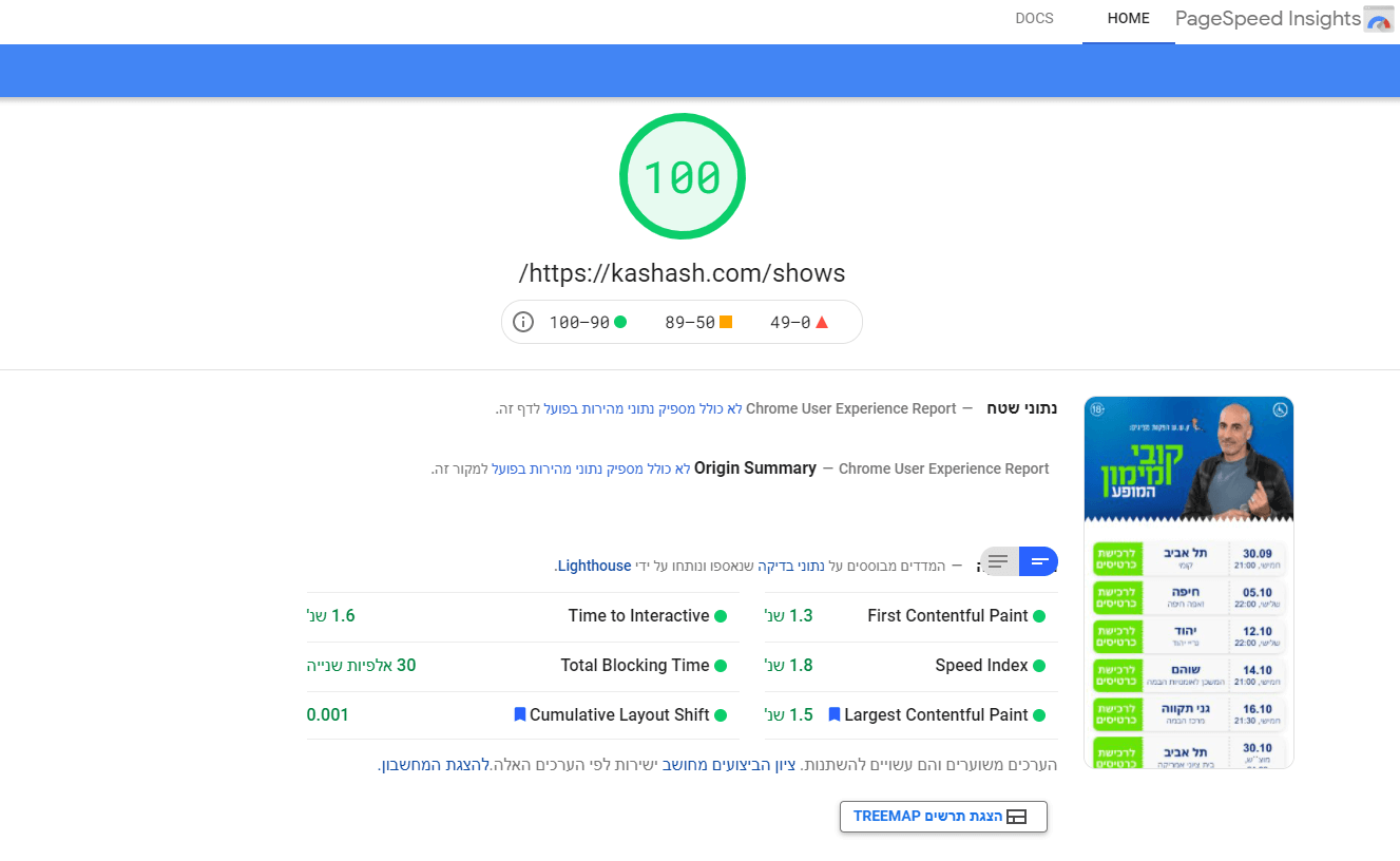 דוגמא לתוצאת מהירות אתר ב-של Pagespeed Insights