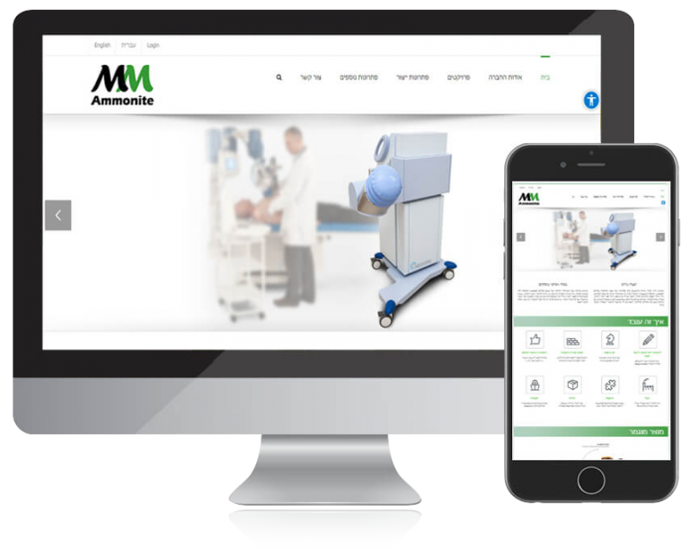 אמונייט Ammonite